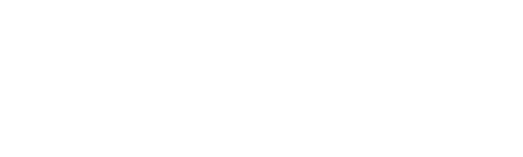ABOUT THE SERIES